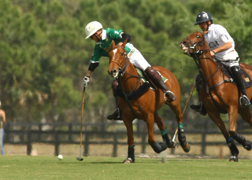 alexpacheco polo photos free booter polo tournament int polo club 3