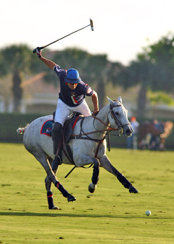 polo magazine IPC polo club florida Alex pacheco photography coca lechuza 6