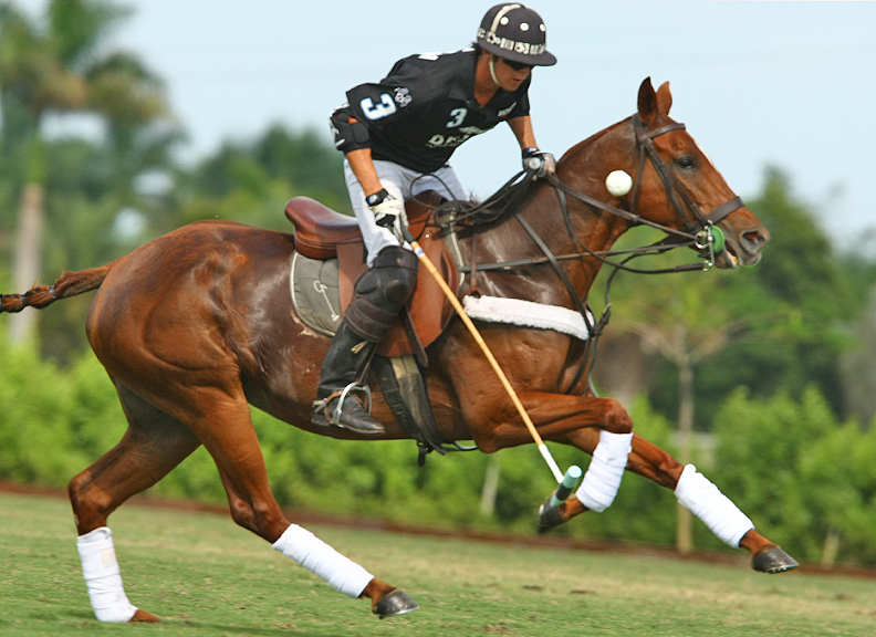 pologearfallcuppolomagazinepachecophotographypoloteams 3