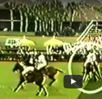 USPA Blue Book of Polo Rules