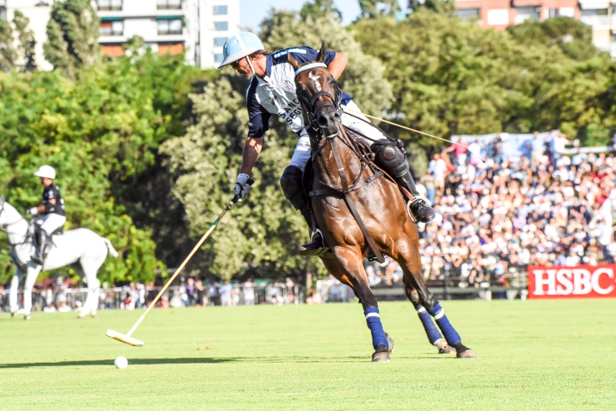 15392865 1834436356798169 6270133805893720825 o