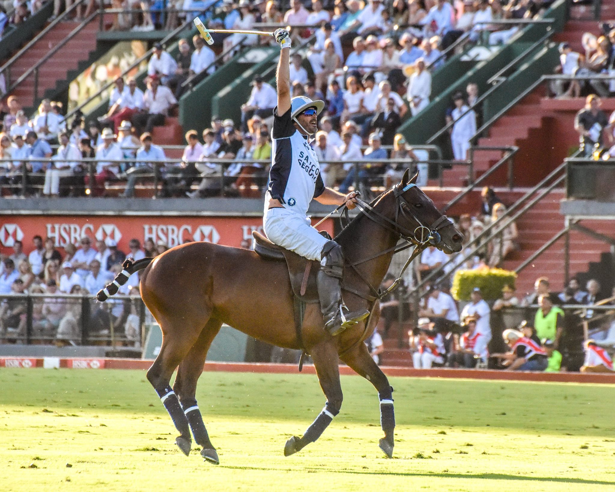 15440587 1834436416798163 1853979111726639492 o