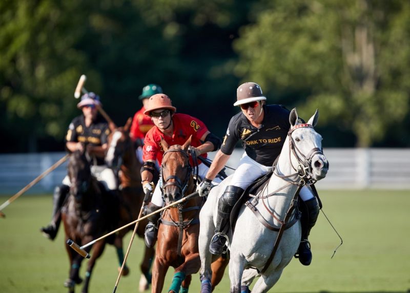 ToroRuizMarianoGonzalez