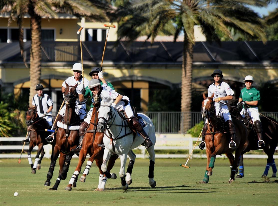 polo ami de la mer DSC 4068