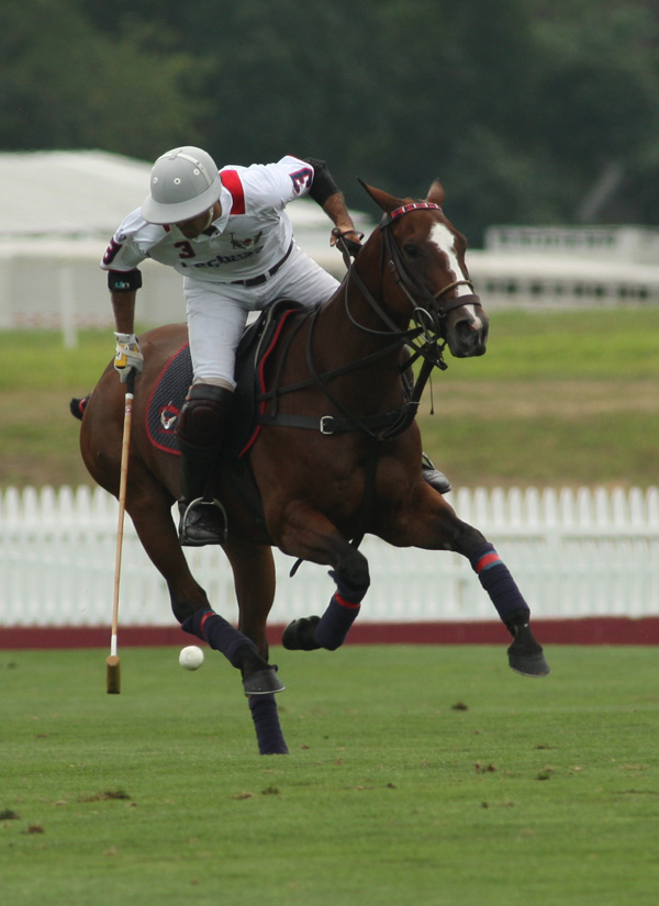 monty waterbury polo tournament photos polo magazine pacheco webbe alex 3