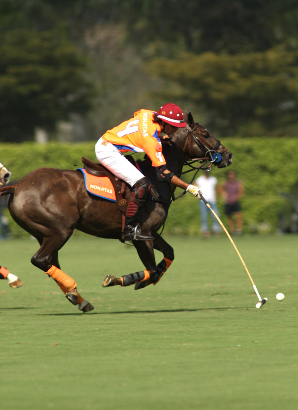 ylvisakercuppachecophotospolomagazine 2