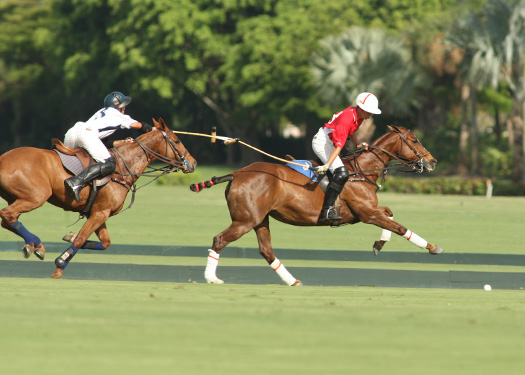 youth polo tournament polo magazine polo mag grand champions photos pacheco 9